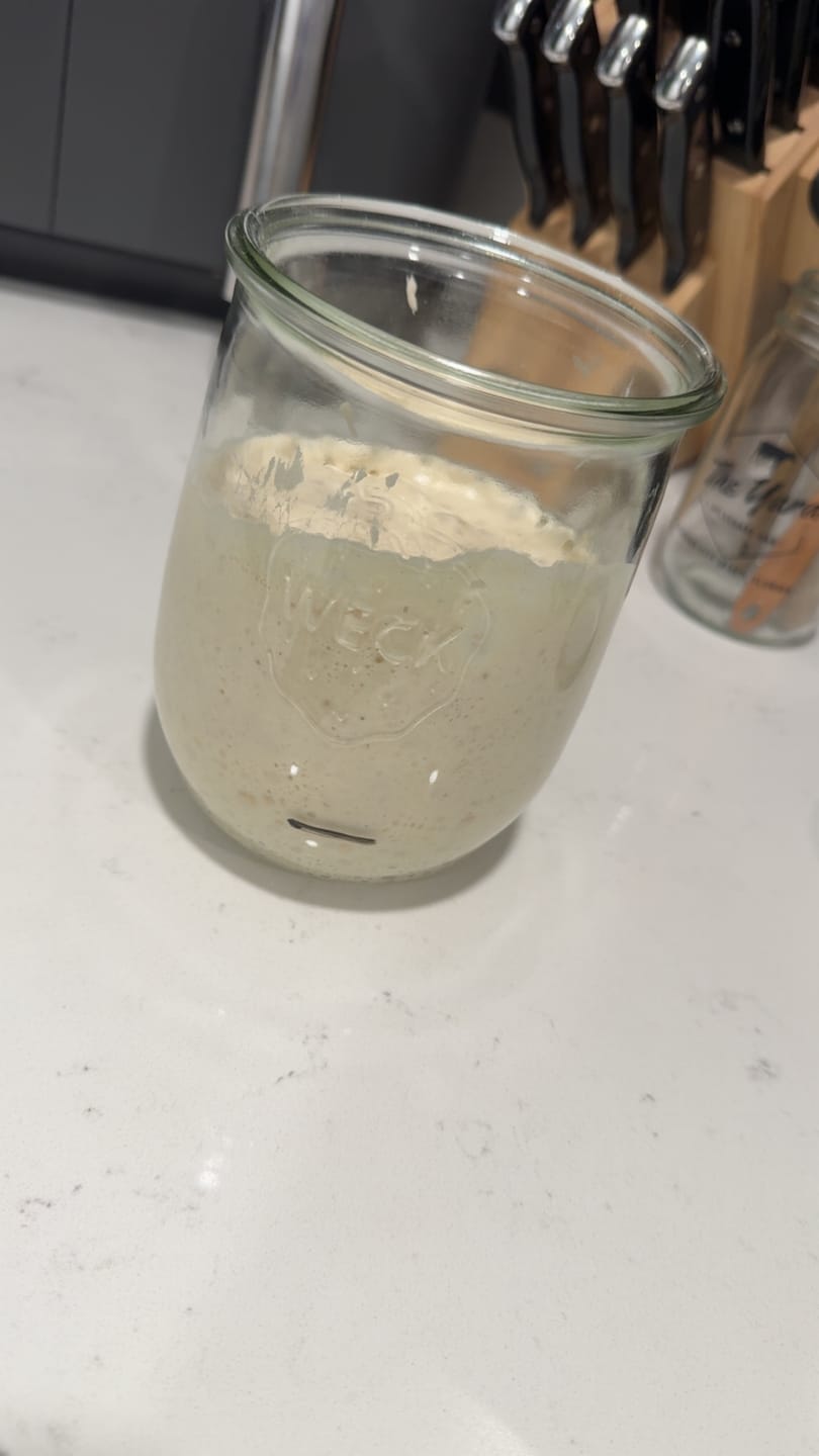 Customer photo review of Sourdough Starter Survival Guide | A Clear, Beginner-Friendly System for Feeding & Maintaining a Healthy Starter