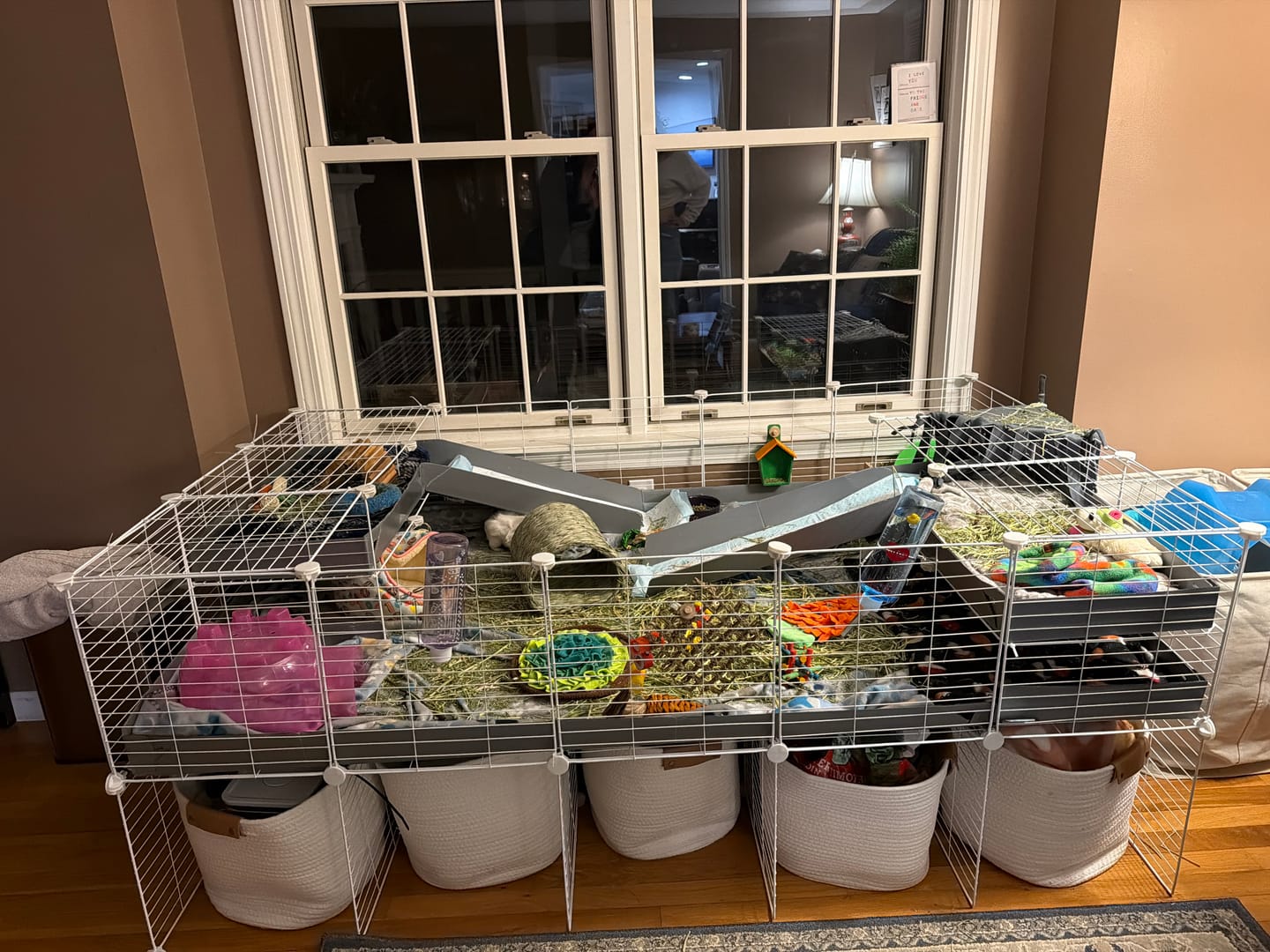 Customer photo review of 4x2 C&C Guinea Pig Cage with Loft & Stand