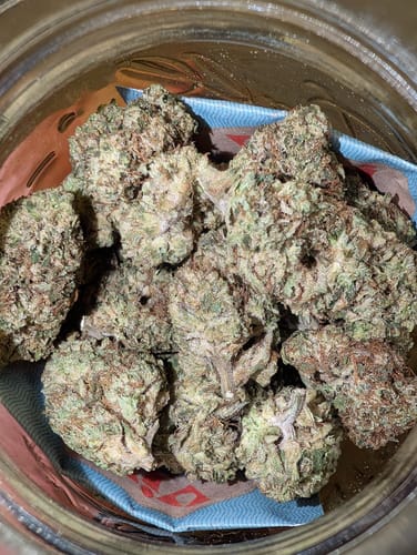 Customer photo review of Gorilla Glue THCA Flower