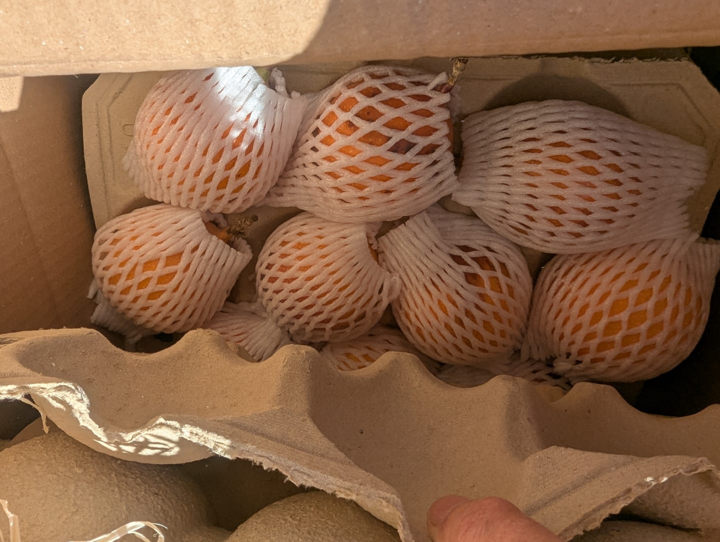 Customer photo review of Süße Granadilla Sonderaktion % 1,5kg