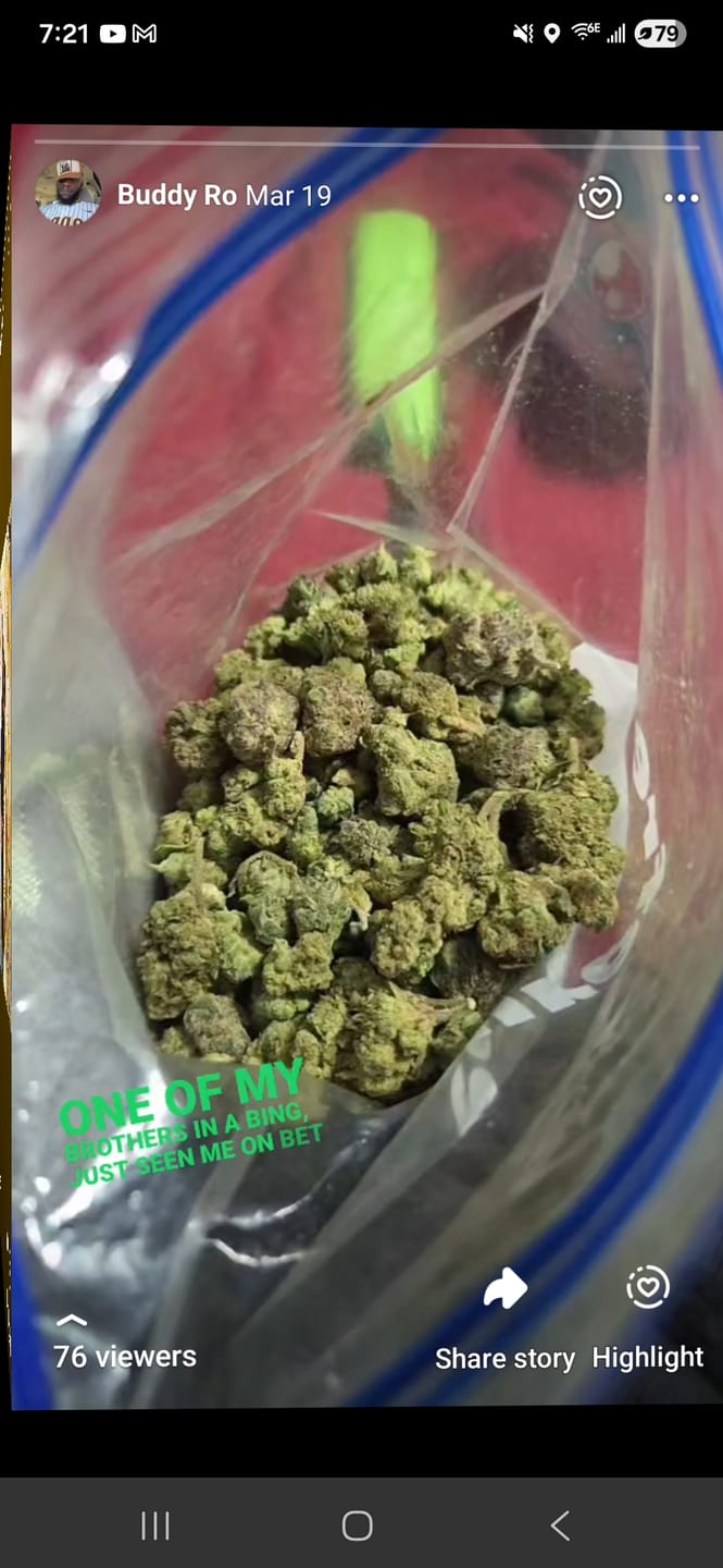 Customer photo review of Blueberry Muffins - Bulk - Indica