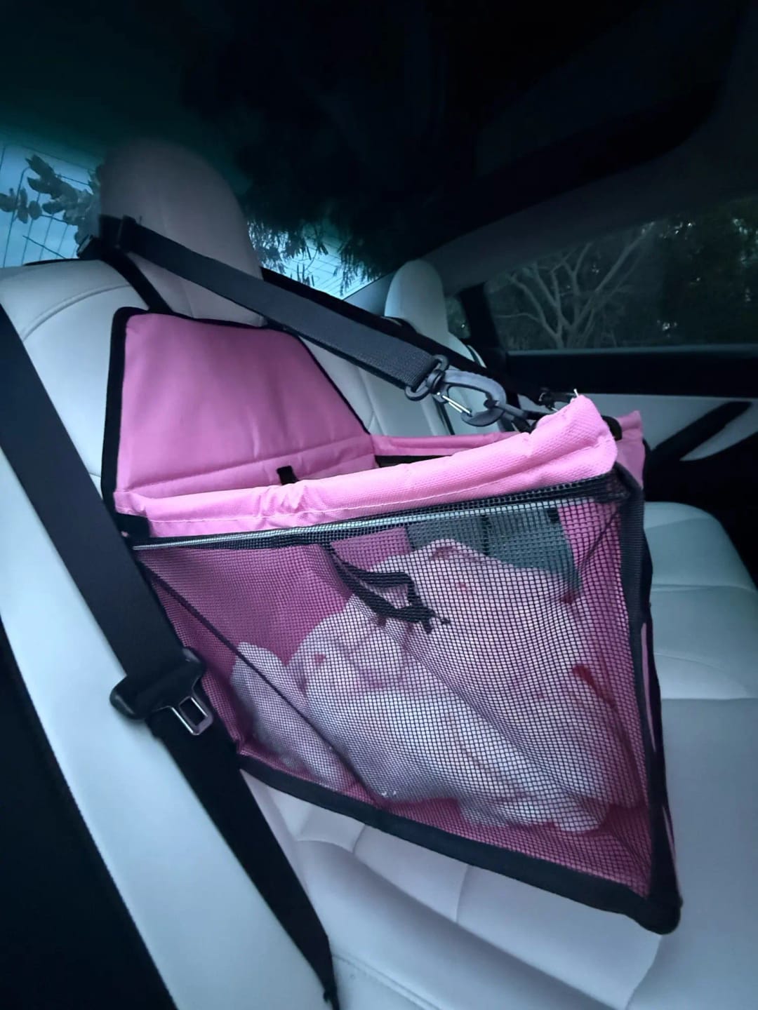 Customer photo review of WanderPup Comfort Dog Travel Seat