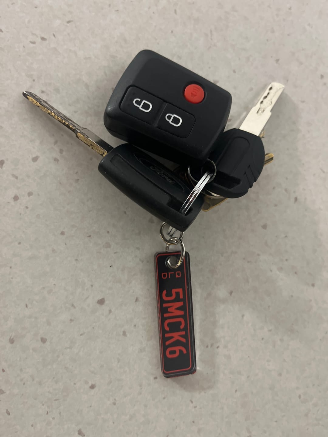 Customer photo review of QLD Colour Licence Plate Custom Keychain
