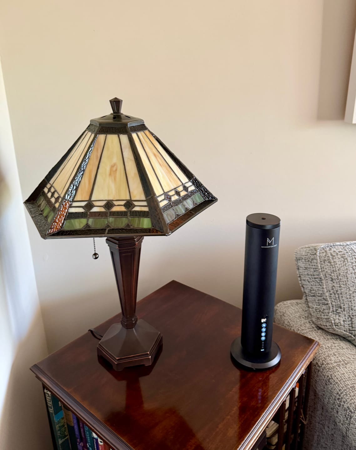 Customer photo review of LumaMax – The Most Premium Waterless Diffuser on the Market