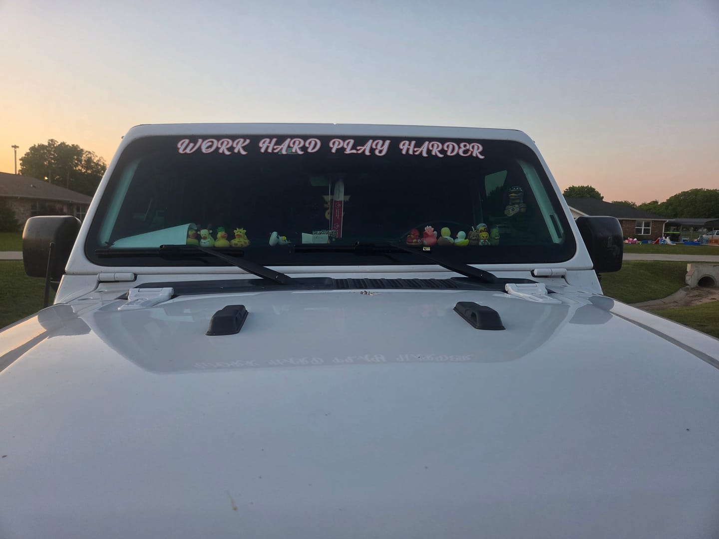 Customer photo review of Windshield Lettering