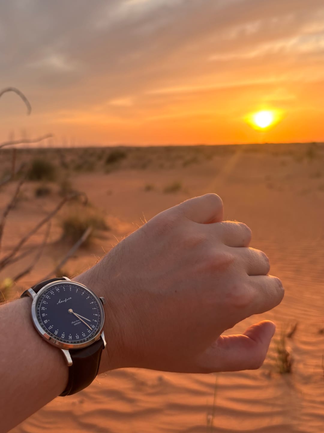 Customer photo review of First Season Silver Black with Brown Leather