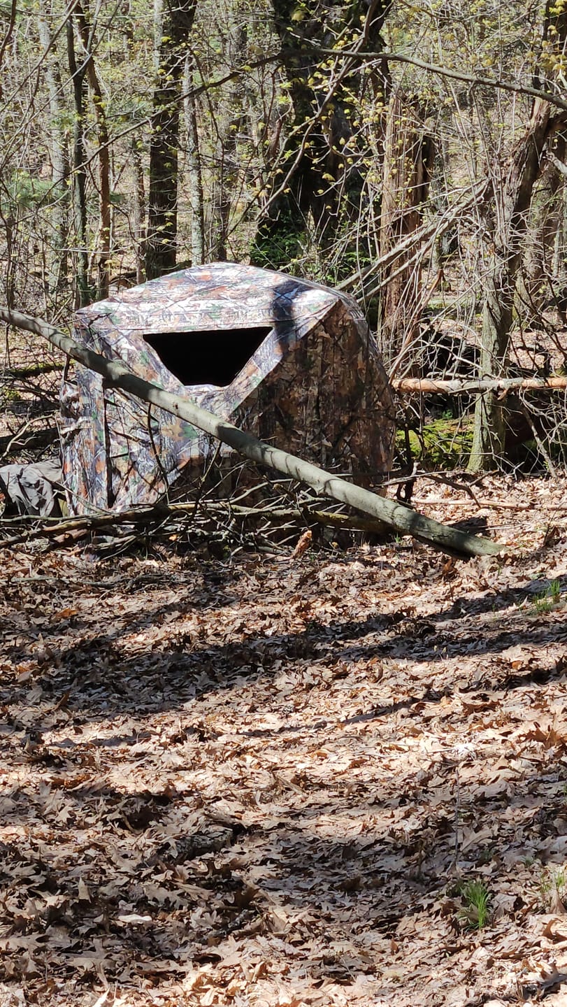 Customer photo review of FLASH SALE VisST See-Through Pop-Up Ground Blinds with Silent Magnetic Door