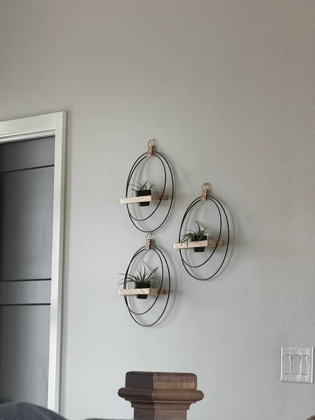 Customer photo review of Air Plant Shelf + Pot Trio