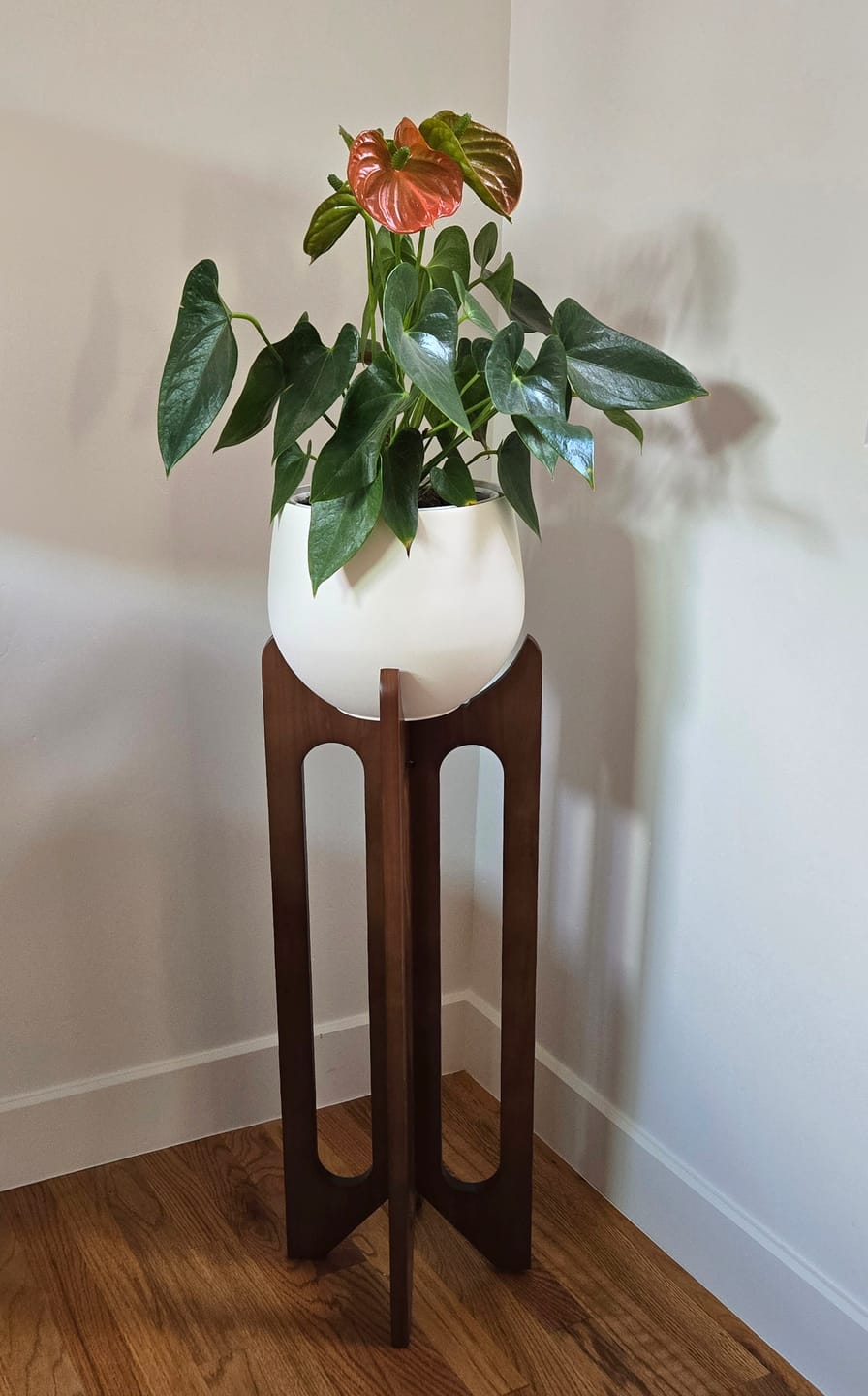 Customer photo review of Arches Plant Stand + Pot Duo
