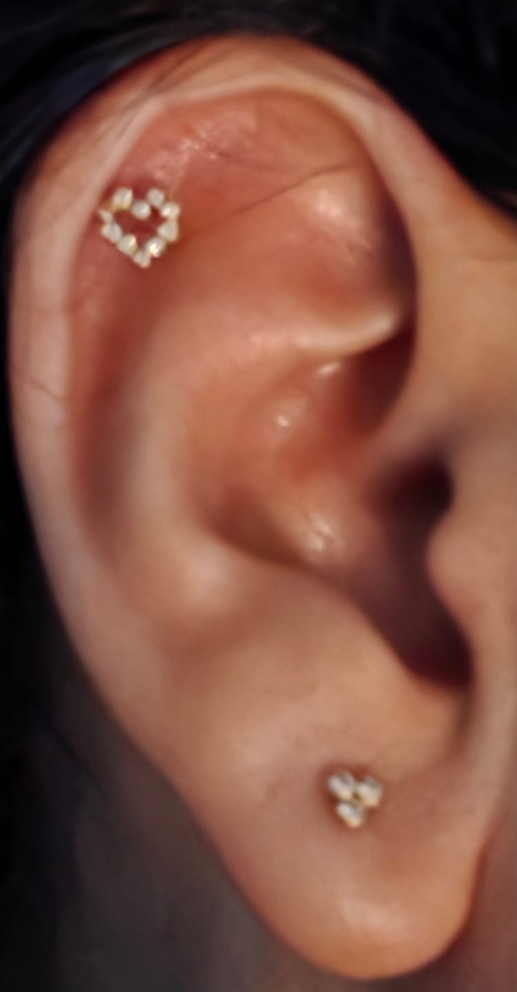 Customer photo review of Aretes Trebol de Zirconias Bisel Oro 10k, Tipo broquel