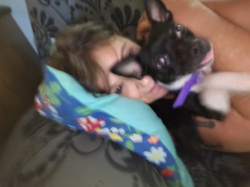 Close-up of a customer's small dog wearing a purple PawLax Collar while being hugged.