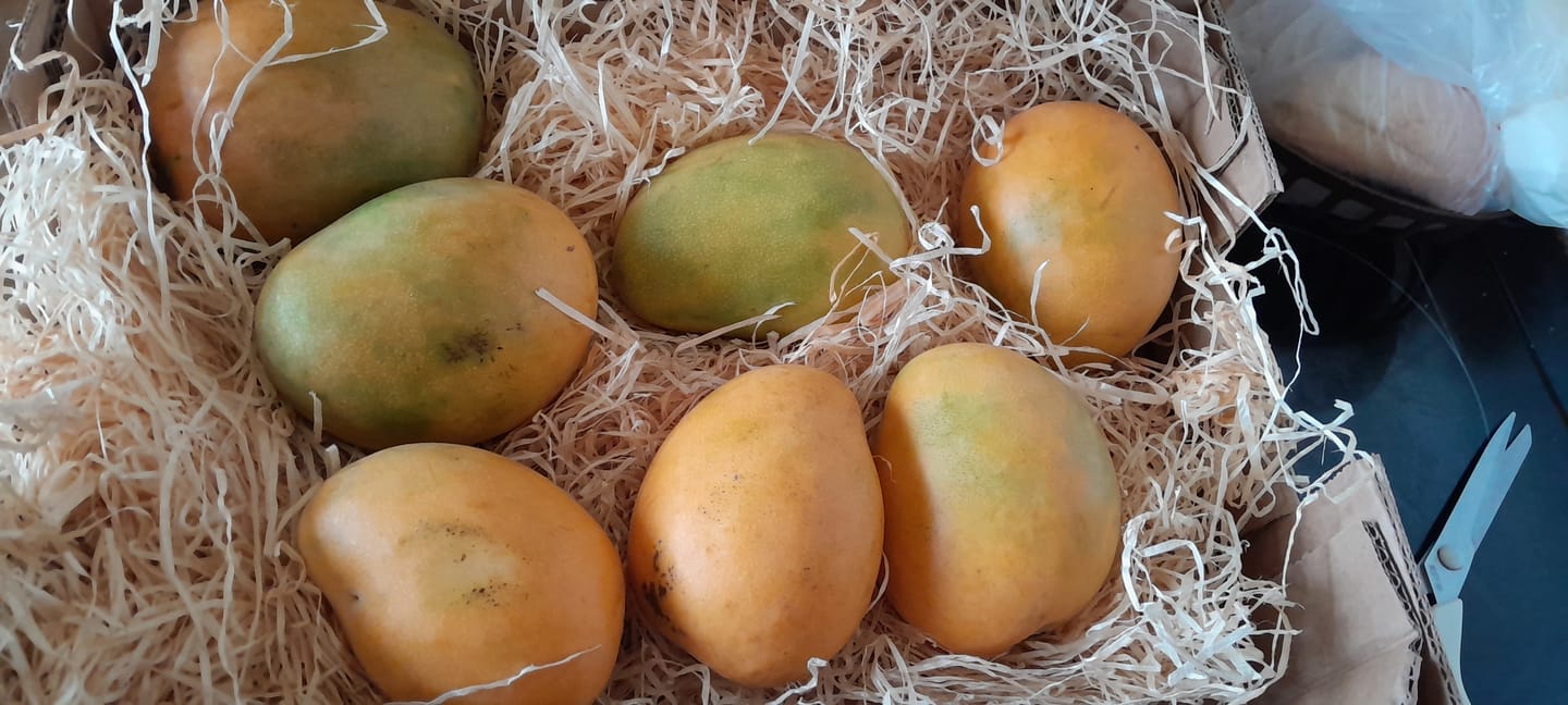 Customer photo review of Mango Mingolo baumgereift Sonderaktion % 2kg Box