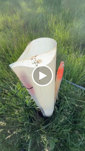 Customer video review of Tree Pro Grow Tubes