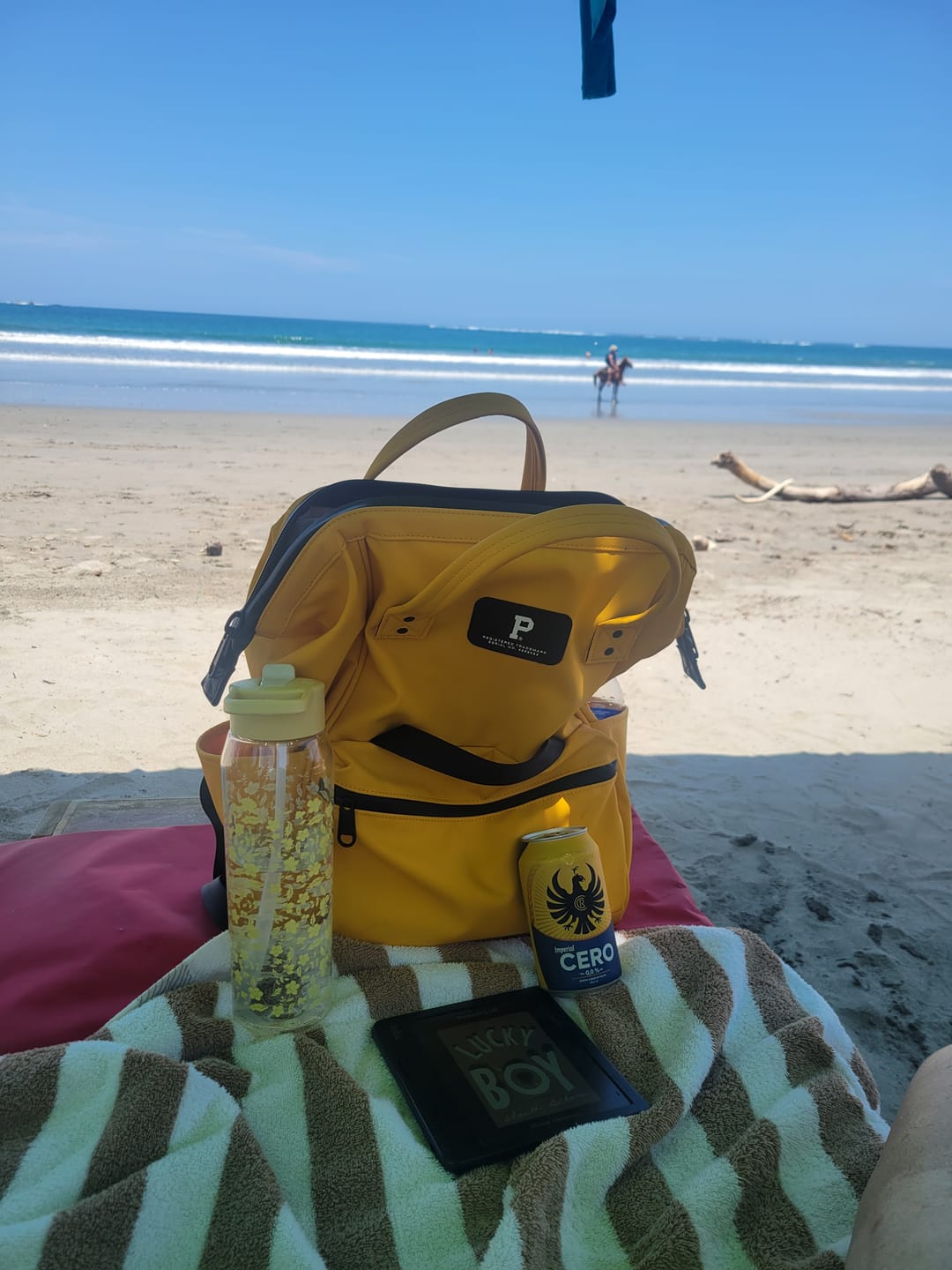 Customer photo review of Cascade Backpack - Standard