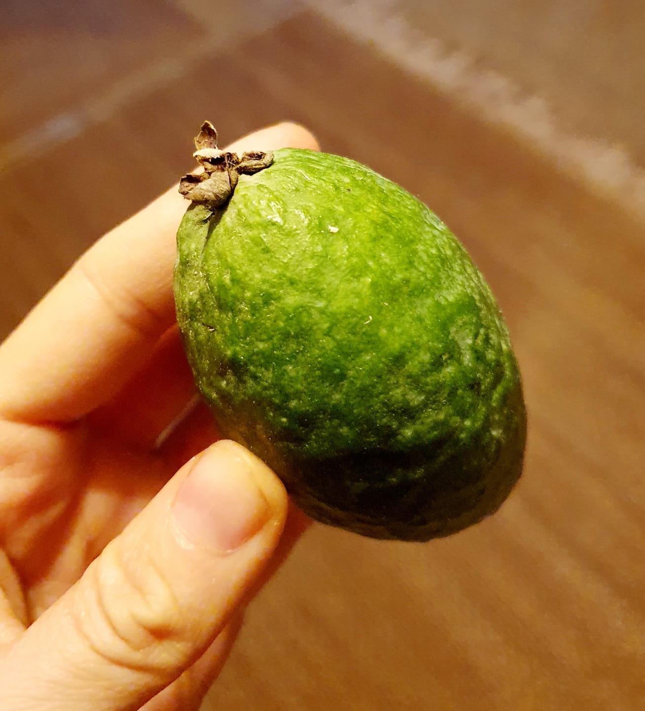 Customer photo review of Feijoa (brasilianische Guave)