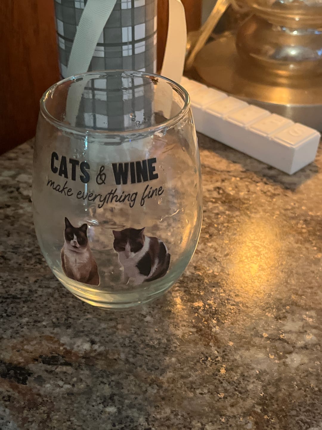 Customer photo review of Pets & wine make me fine -  Personalized Wine Glass