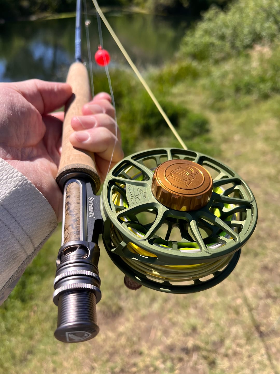 Customer photo review of Ross Animas Fly Reel