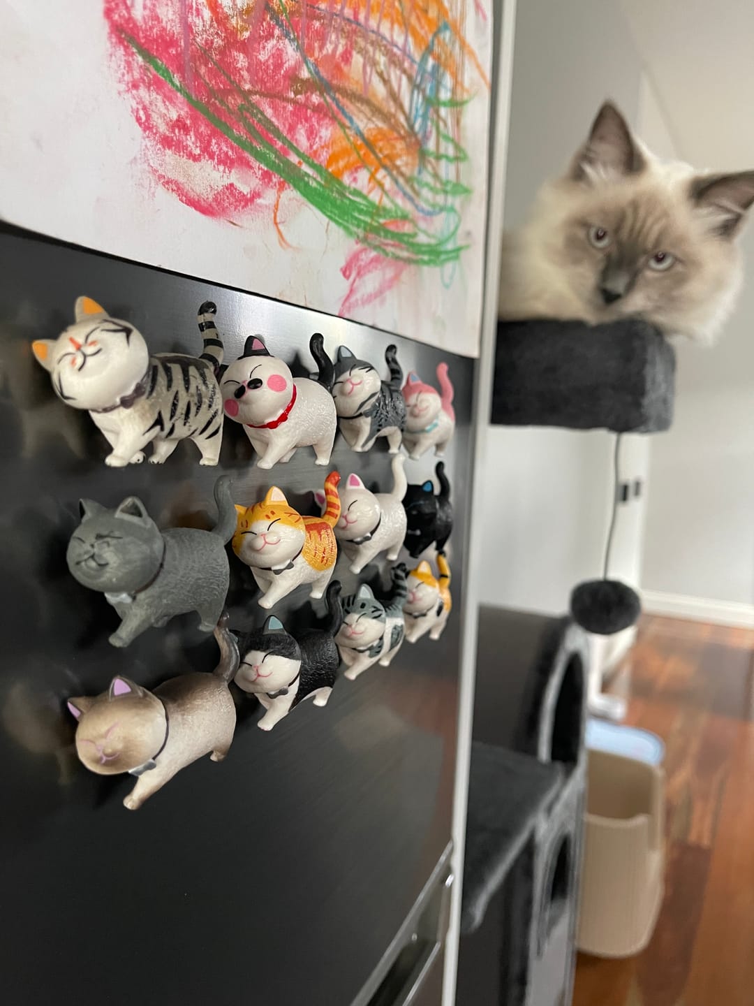 Customer photo review of Michu 3D Cute Cat Fridge Magnet Set | Walking Cat Refrigerator Magnets Home Decor Gift