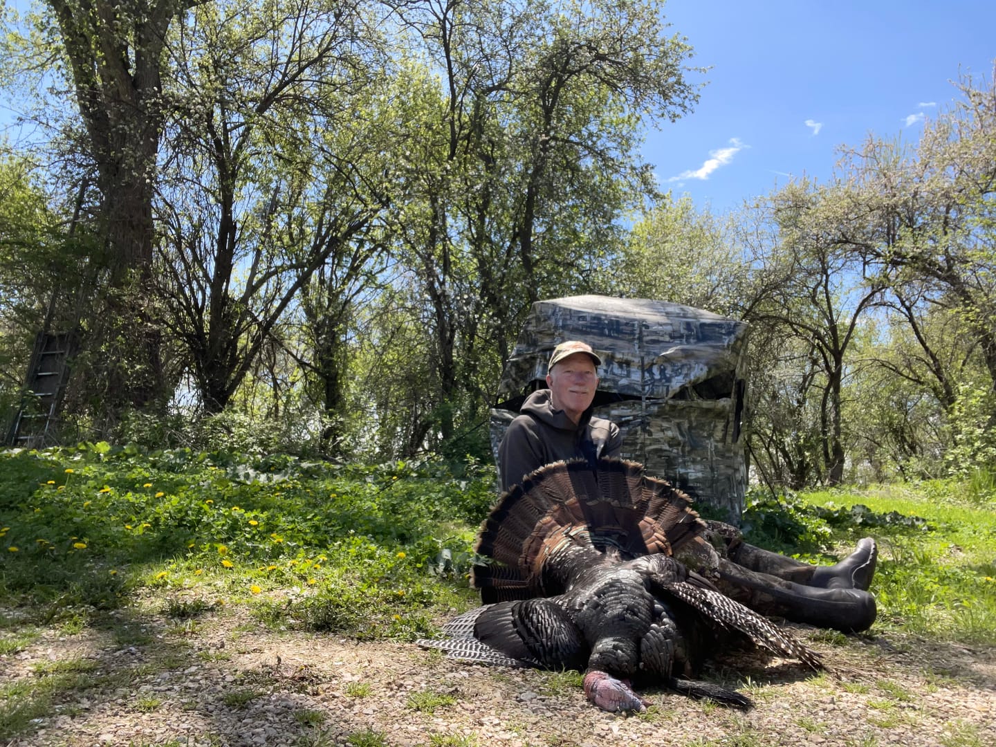 Customer photo review of All Weather Striker