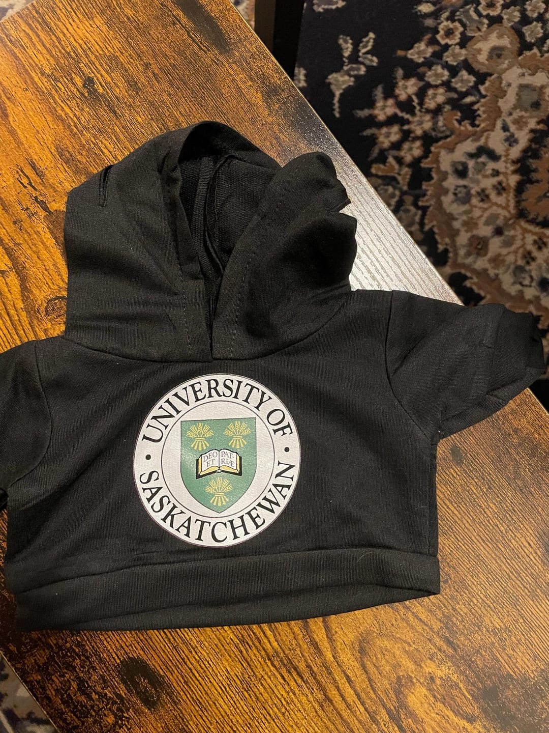 Customer photo review of Custom Plushie Hoodie for 14–16 in Stuffed Animals