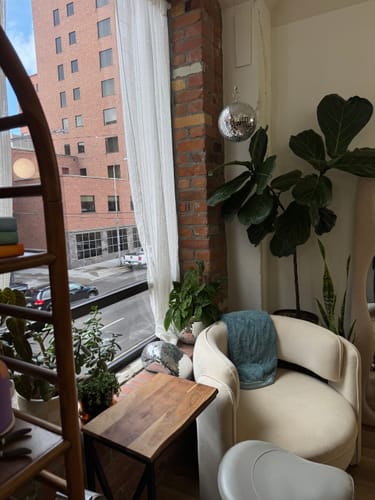 Customer's healthy houseplants, including a tall fiddle leaf fig, in a stylish room after using Soil Refresh.