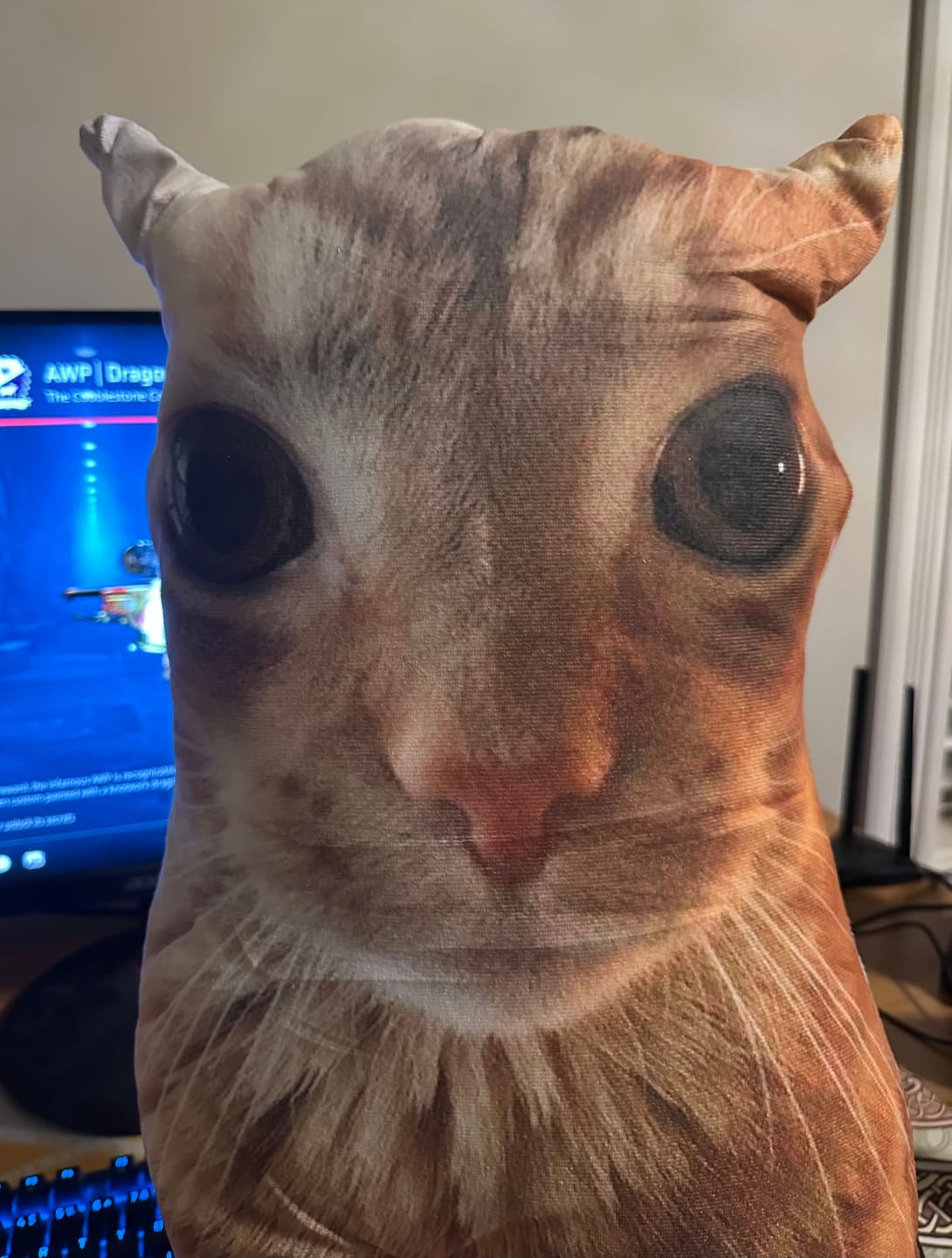 Customer photo review of Custom Pet Pillow