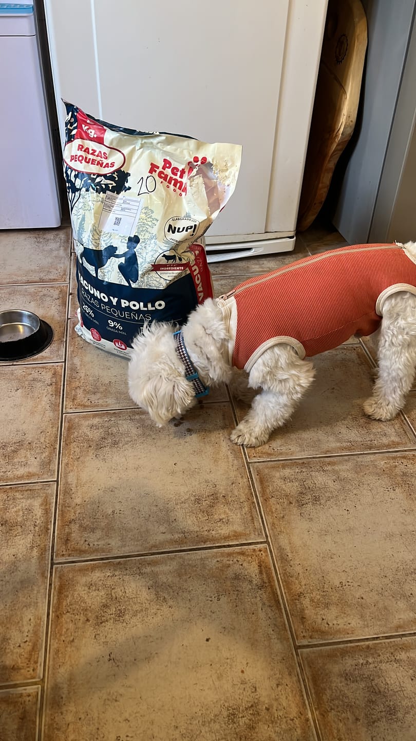 Customer photo review of PetFamily Foods Razas Pequeñas