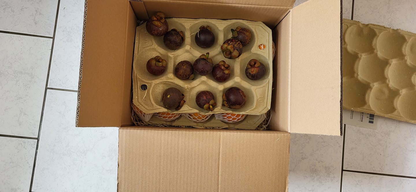 Customer photo review of Mangostan unbehandelt Thailand 1kg