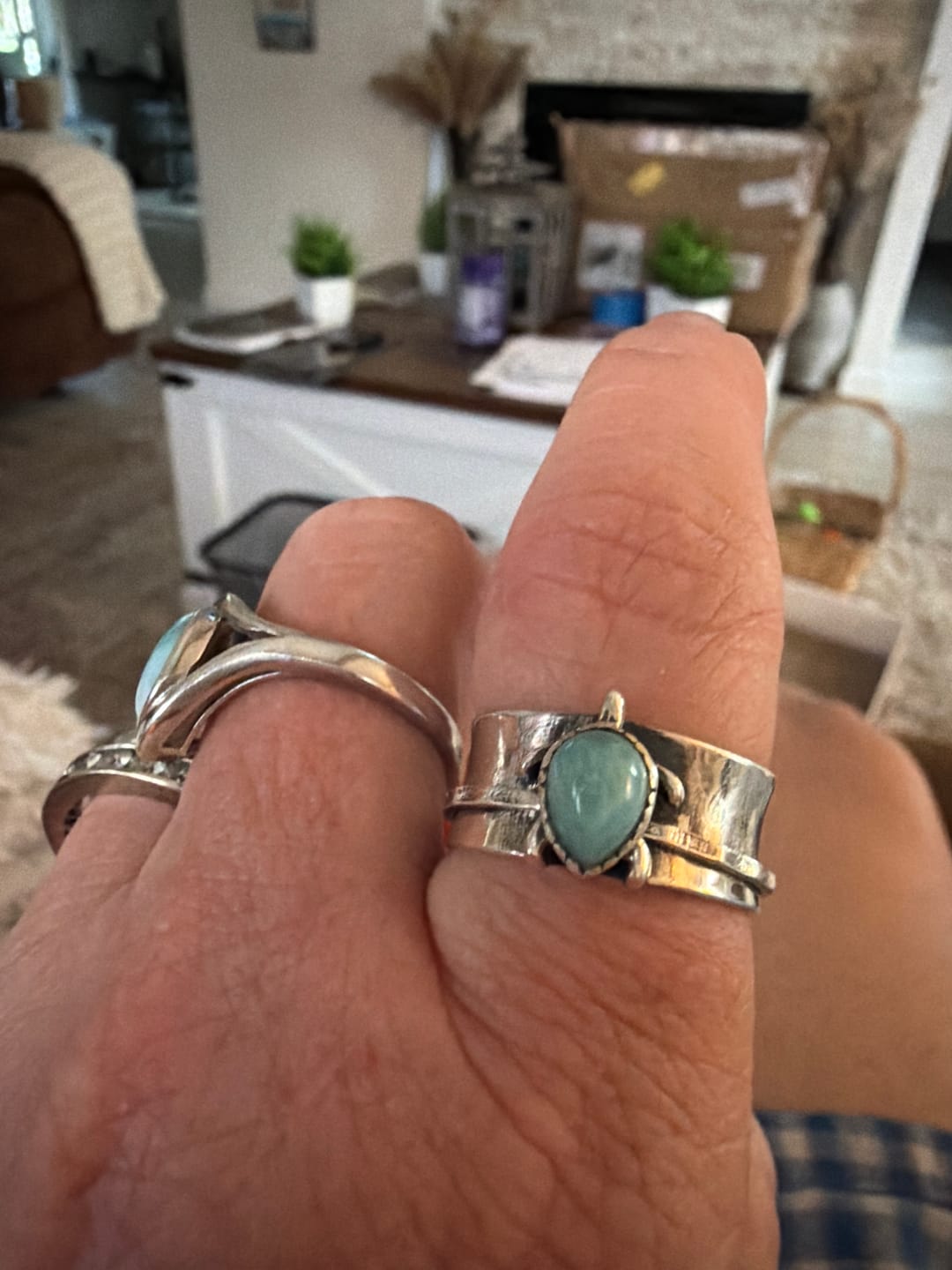 Customer photo review of Turtle Larimar Fidget Ring