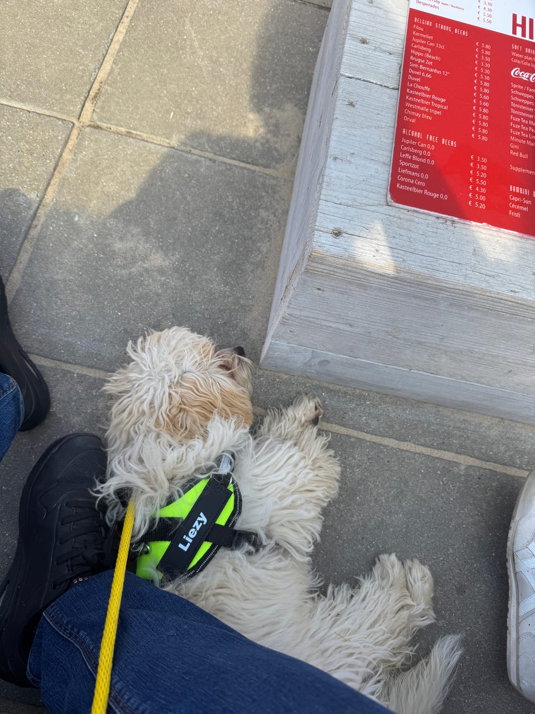 Customer photo review of PawGuard - Gepersonaliseerd Hondentuigje