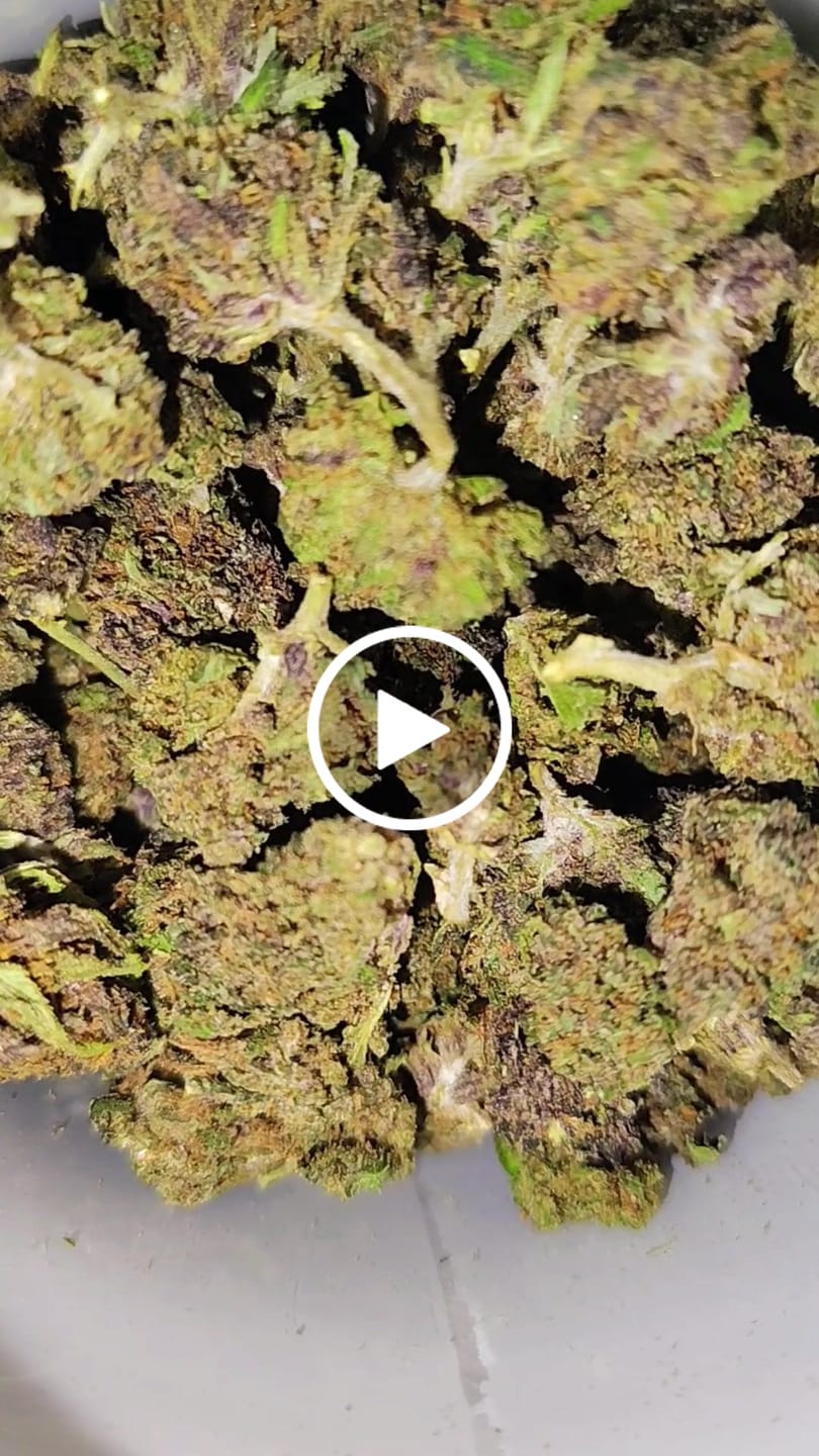 Customer video review of Purple Jack - 28 Grams Littles - Hybrid
