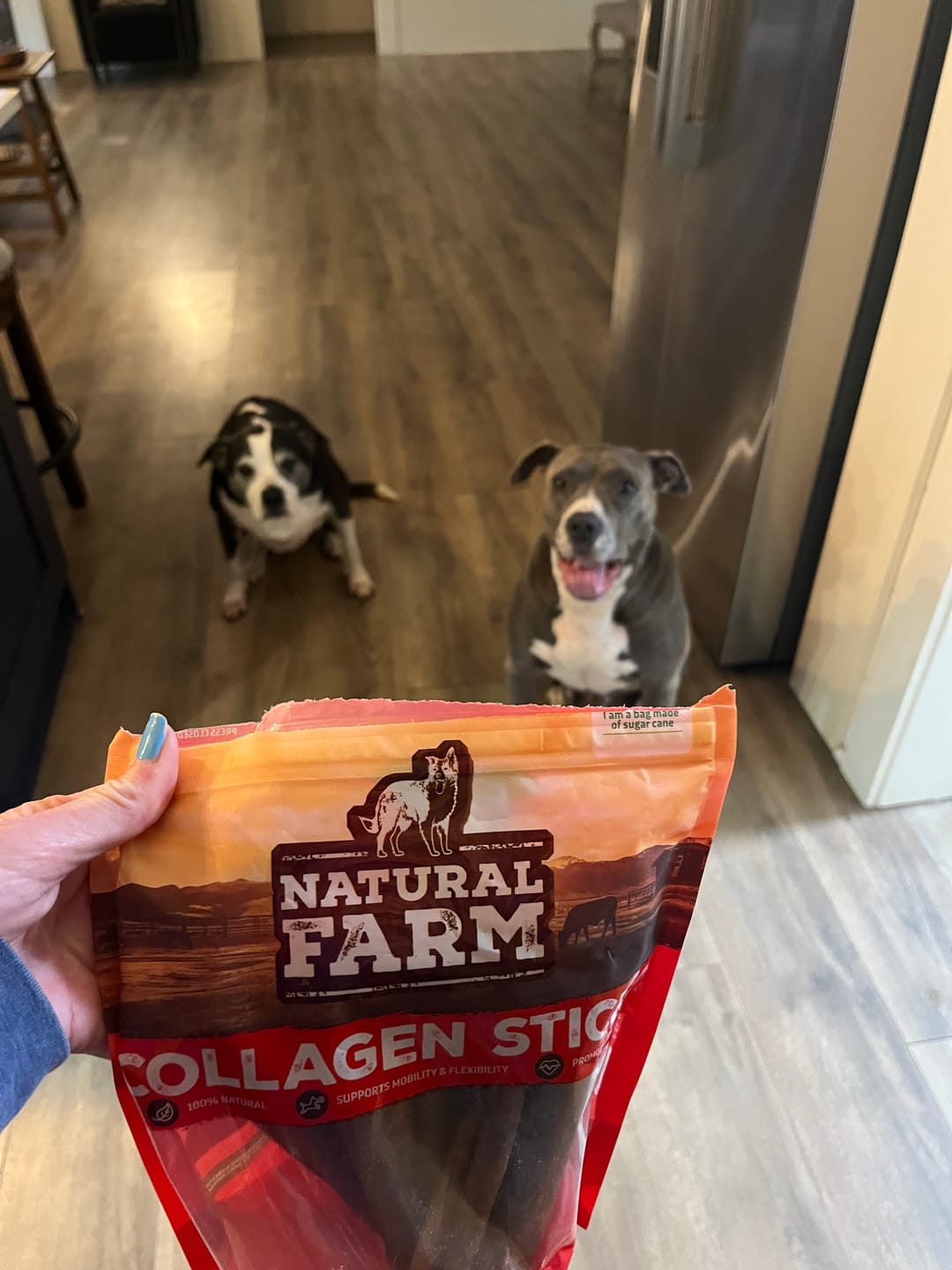 Customer photo review of 6 Inch Collagen Sticks Peanut Butter Flavor