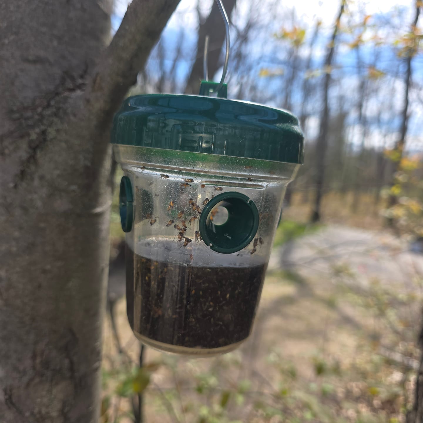 Customer photo review of Mosquito TNT 2.0