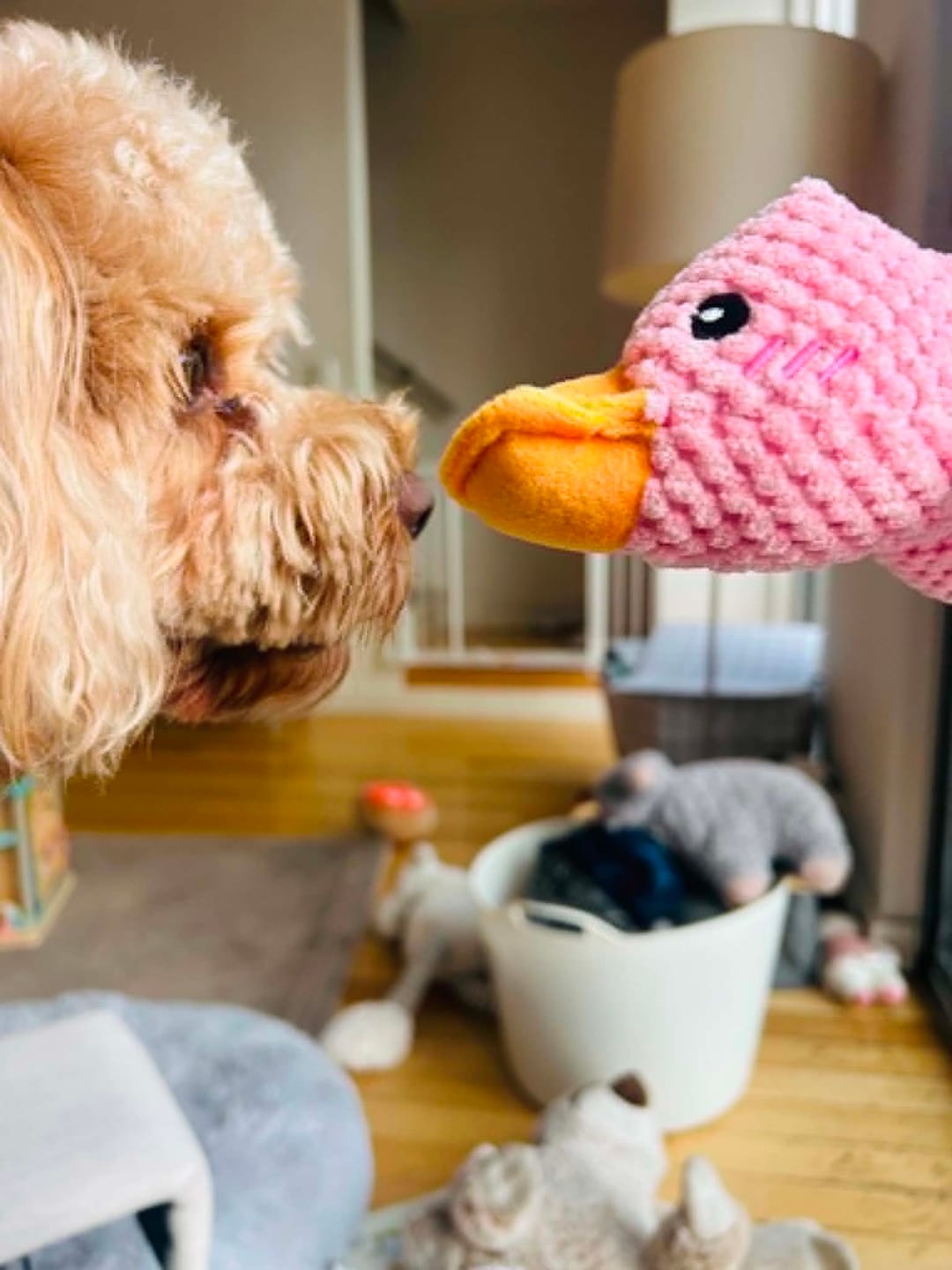 Customer photo review of Calming Duck Toy