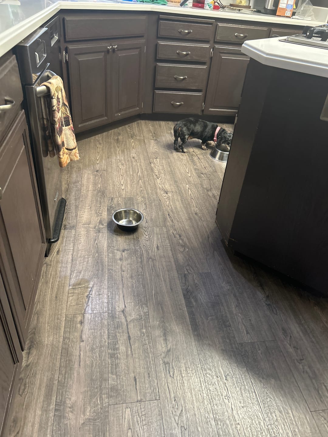 Customer photo review of Whole Grain Original Base Mix