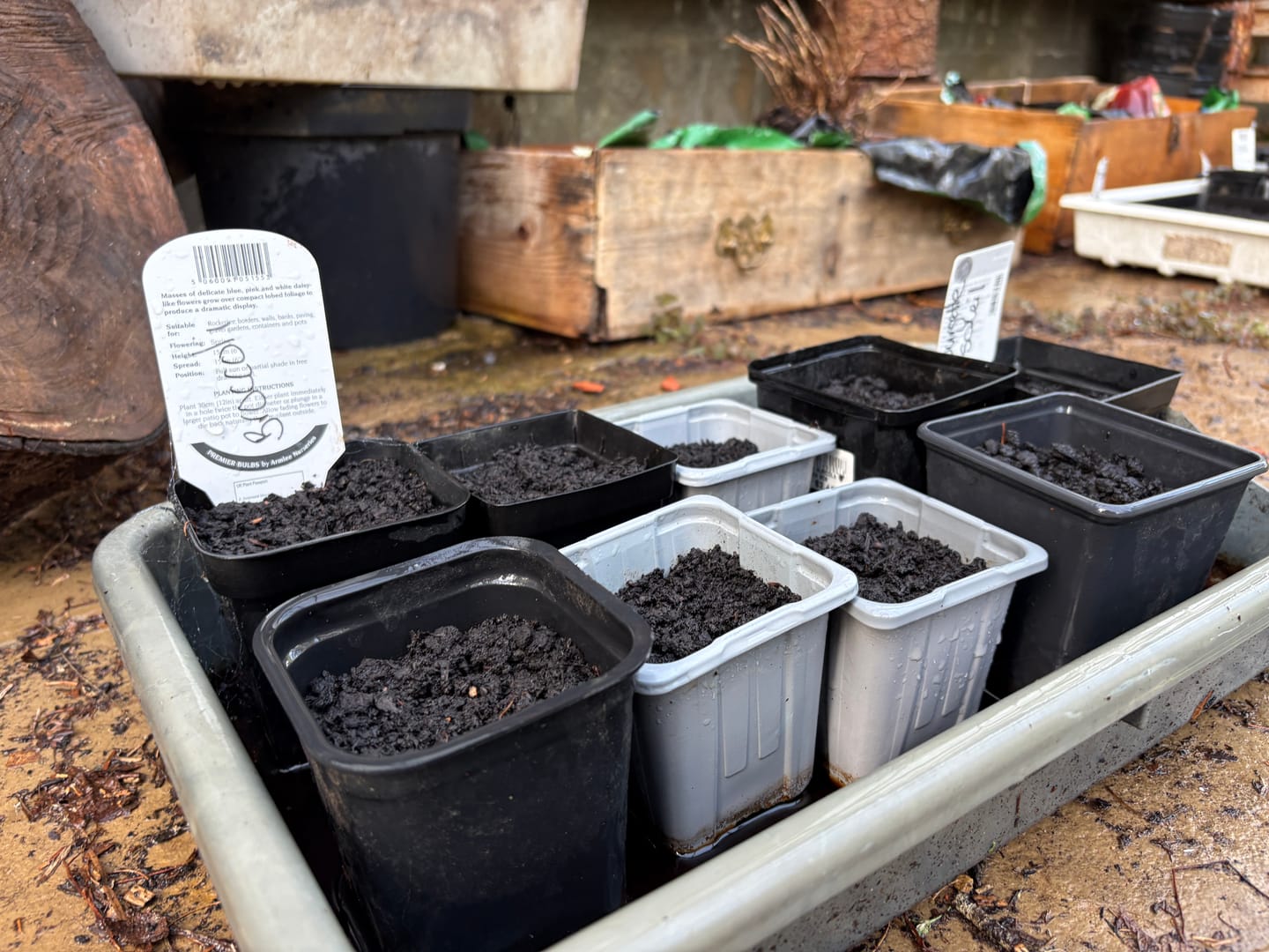 Customer photo review of Natural Compost - Organic and Peat Free - 50L Bag