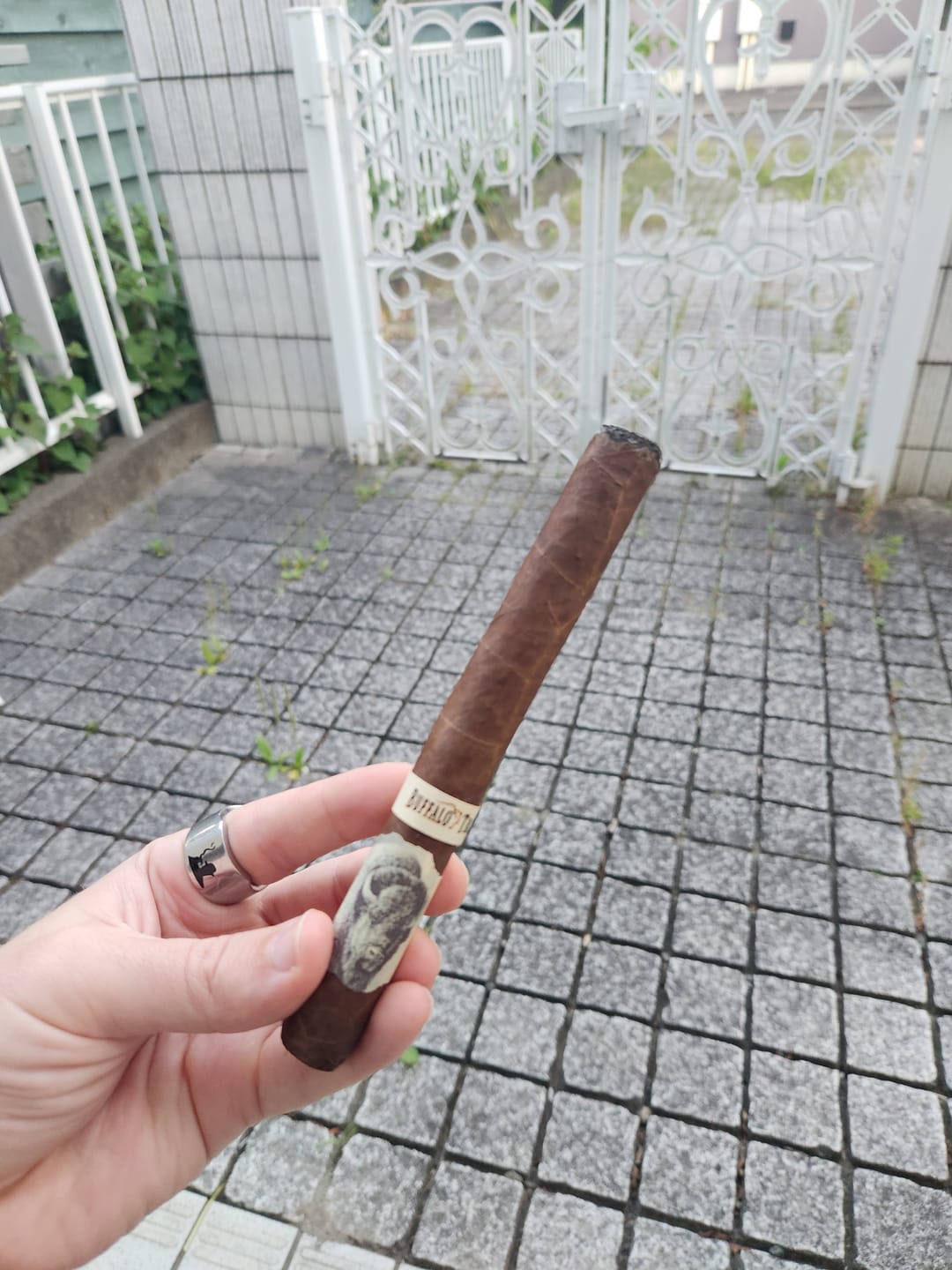 Customer photo review of Buffalo Trace Cigars