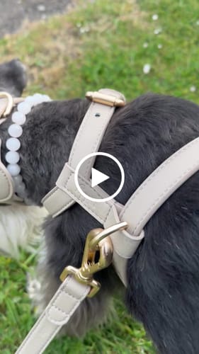 Customer video review of Hazelnut┃Studio AirTag Holder