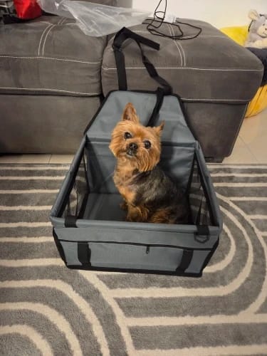 Customer photo review of WanderPup Comfort Dog Travel Seat