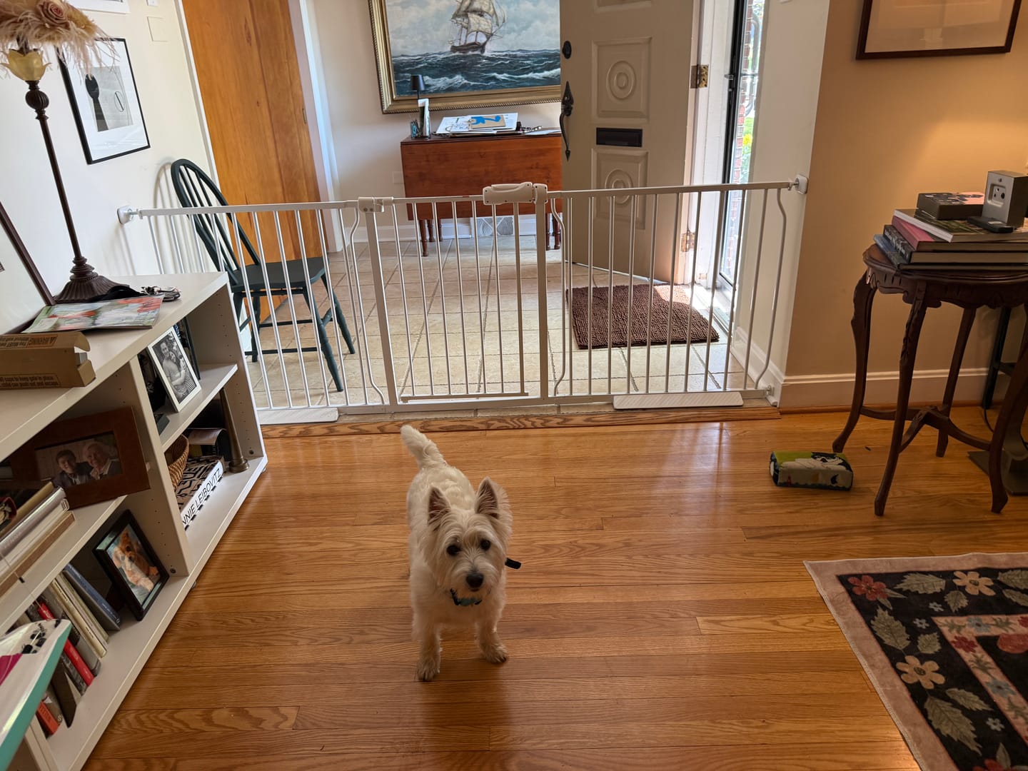 Customer photo review of FairyBaby Extra Wide Baby Gate, Easy Install Extra Security