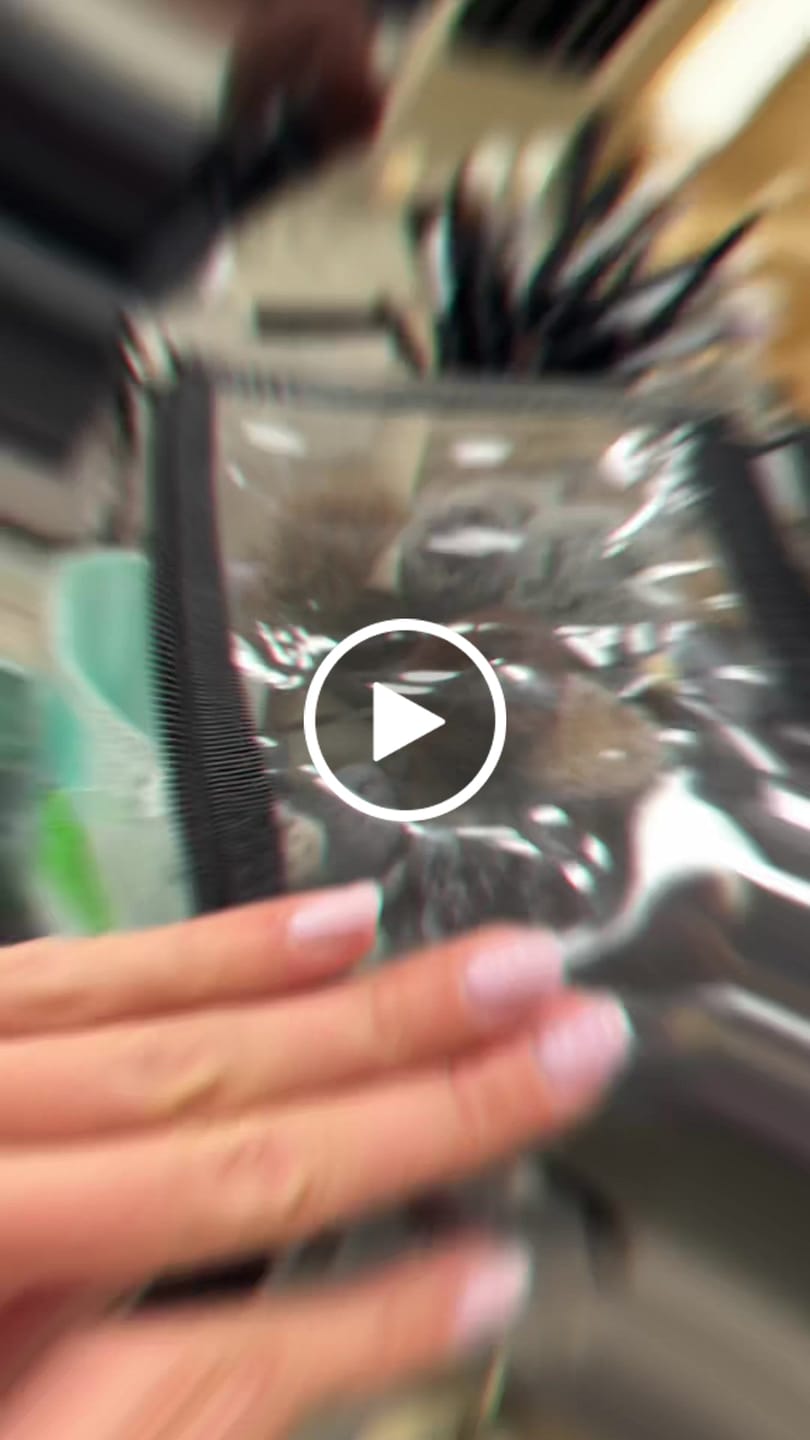 Customer video review of Brush bag