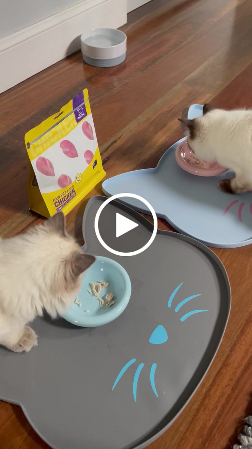 Customer video review of Michu Freeze-Dried Raw Pet Food Dog & Cat Treat 150g - Made in Australia
