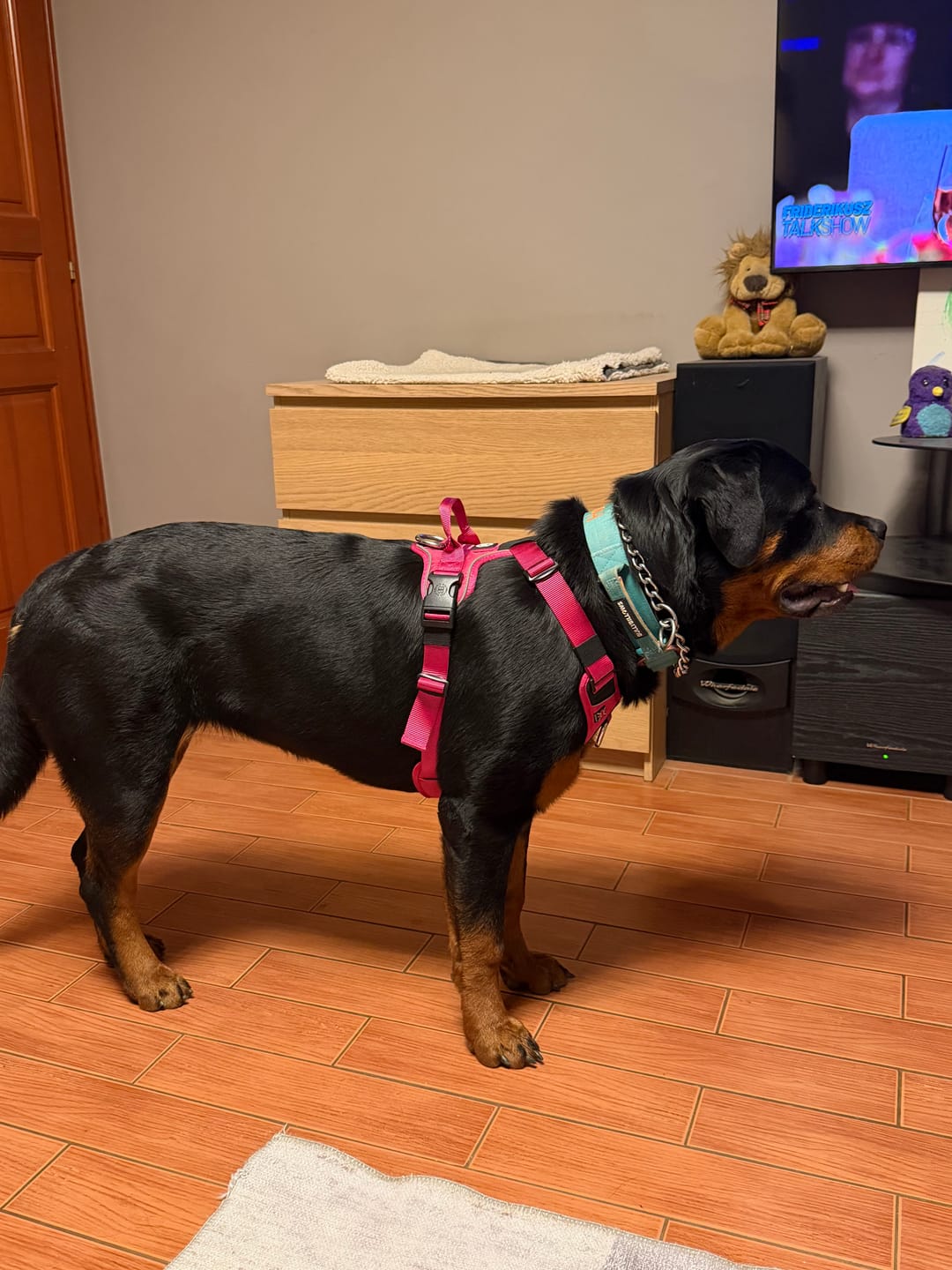 Customer photo review of Anti Pull Hurricane Harness Lighter | With Handle - Carminerose