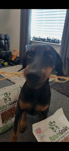 Customer photo review of USA Turkey Tendons Delicious Grain-Free Reward Snack