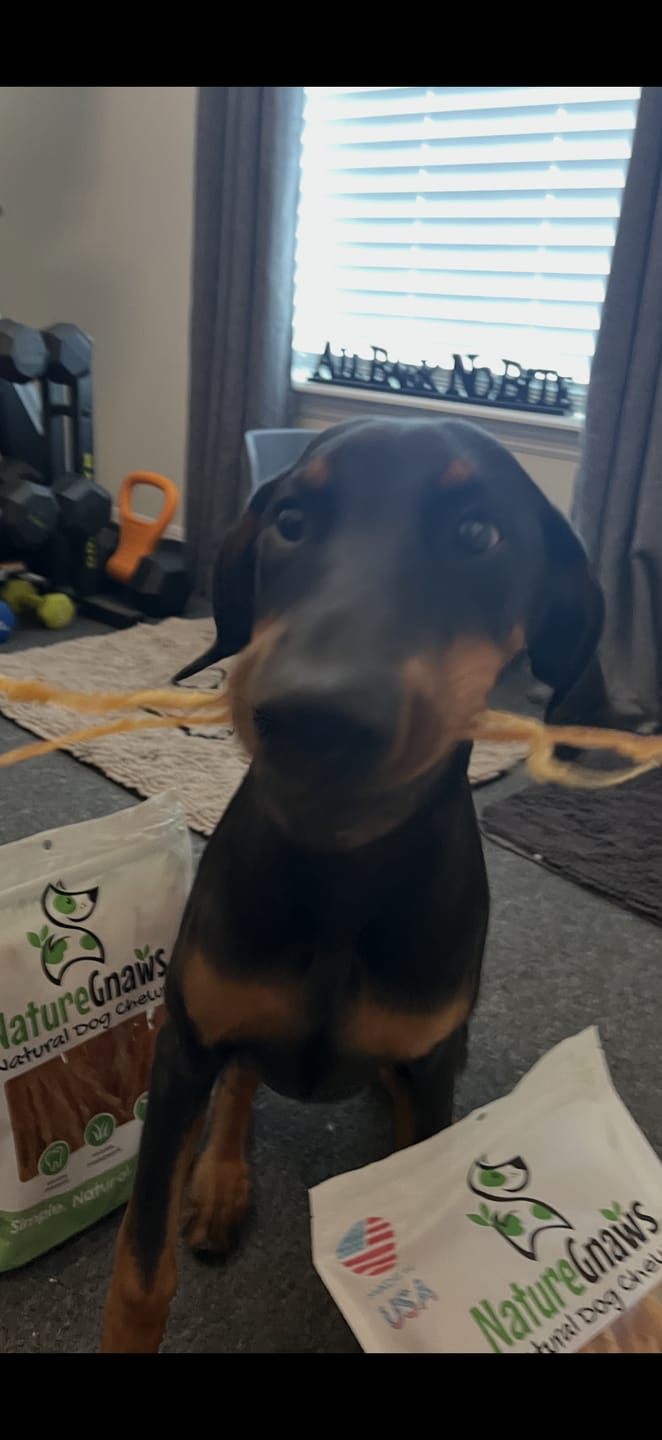 Customer photo review of USA Turkey Tendons Delicious Grain-Free Reward Snack
