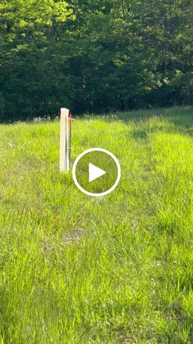 Customer video review of Tree Pro Grow Tubes