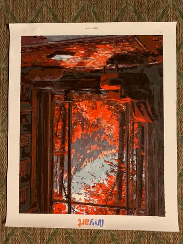 Customer photo review of Scarlet Library