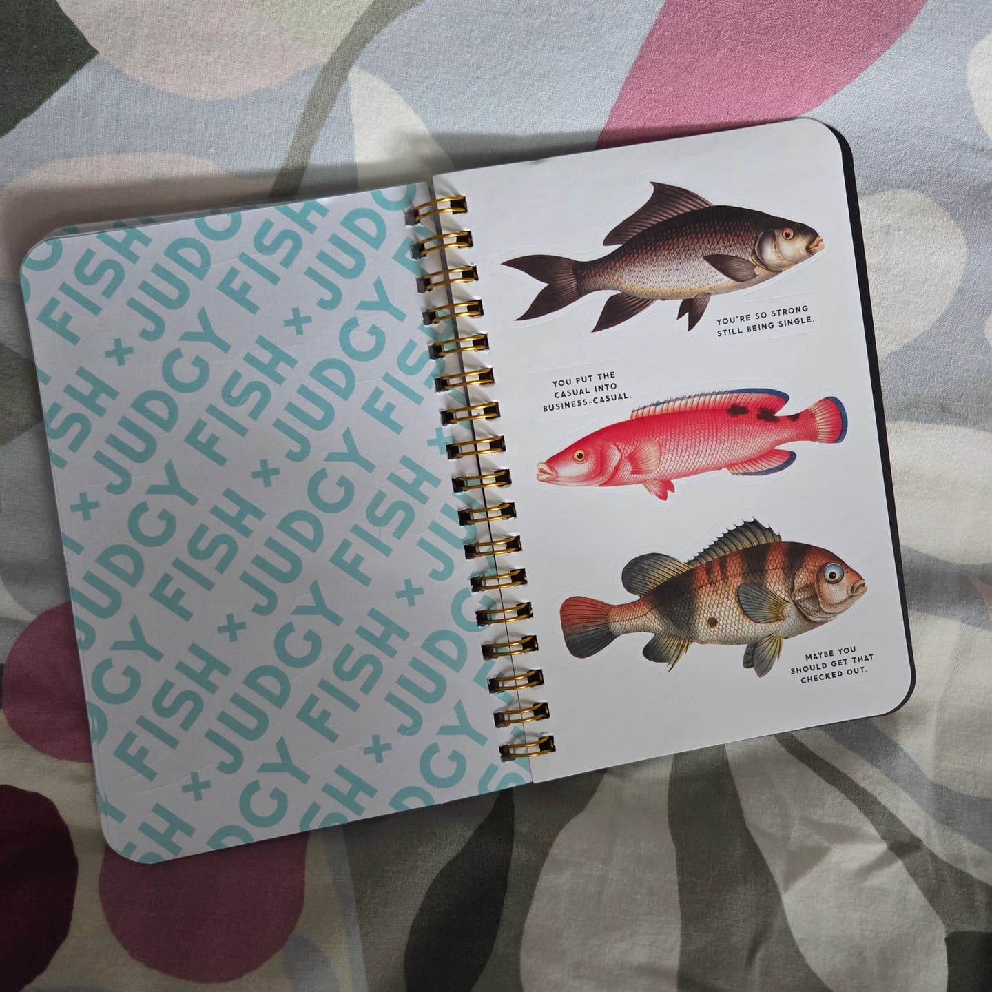 Customer photo review of Judgy Fish Sticker Book