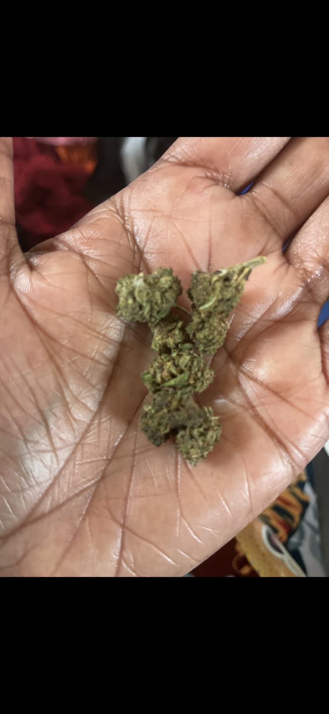 Customer photo review of Purple Jack - 28 Grams Littles - Hybrid