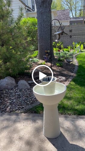 Customer video review of Lecce Cordless Fountain